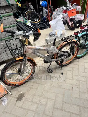 20’ Eastman Standard Bicycle