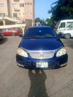 Toyota Corolla 2004 Blue