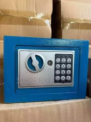 Electronic Digital Safe