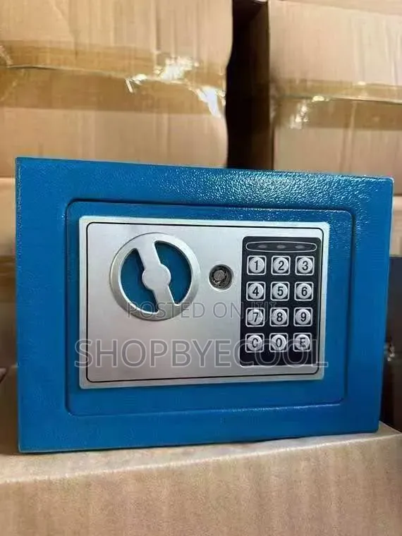 Electronic Digital Safe
