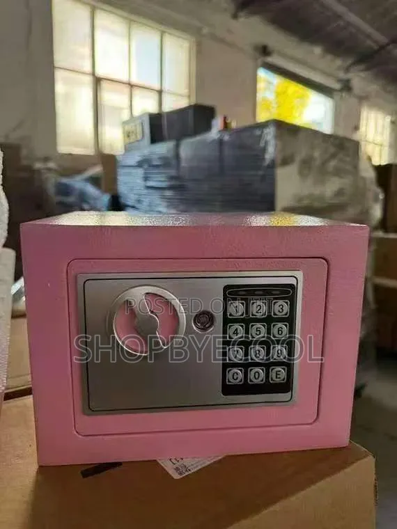 Electronic Digital Safe