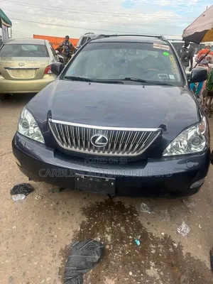Lexus RX 2004 Gray