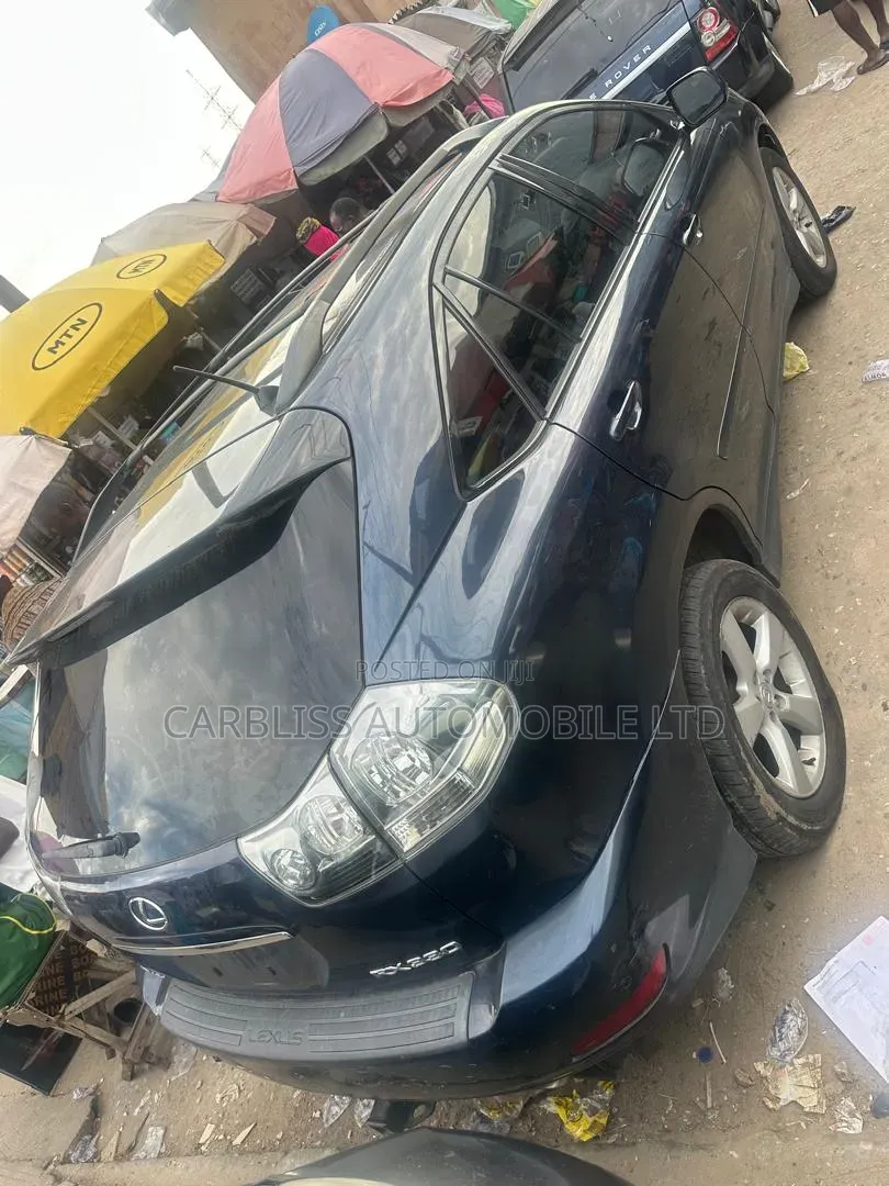 Lexus RX 2004 Gray