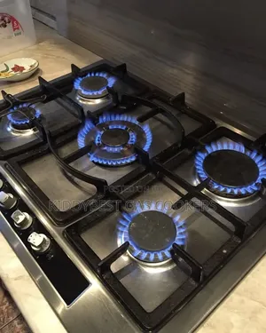 Gas Cooker Repair and Installation Services ABUJA