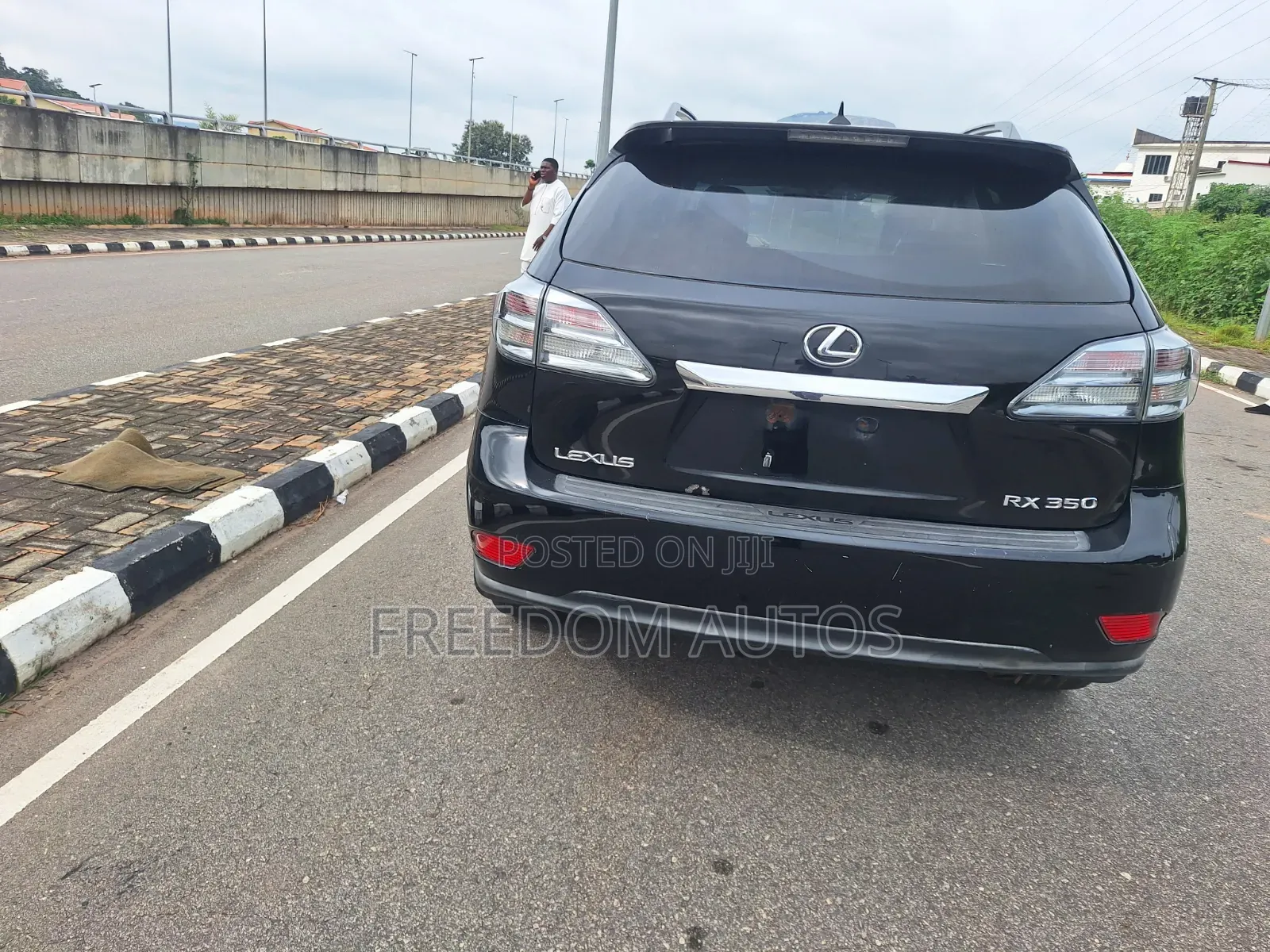 Lexus RX 2010 Black