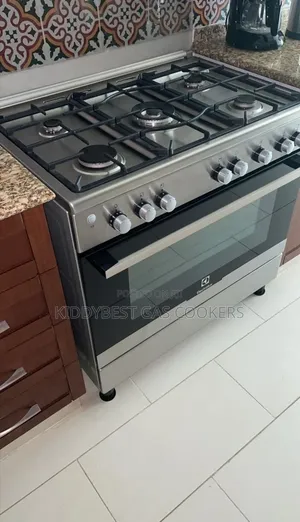 Gas Cooker General Repairs.