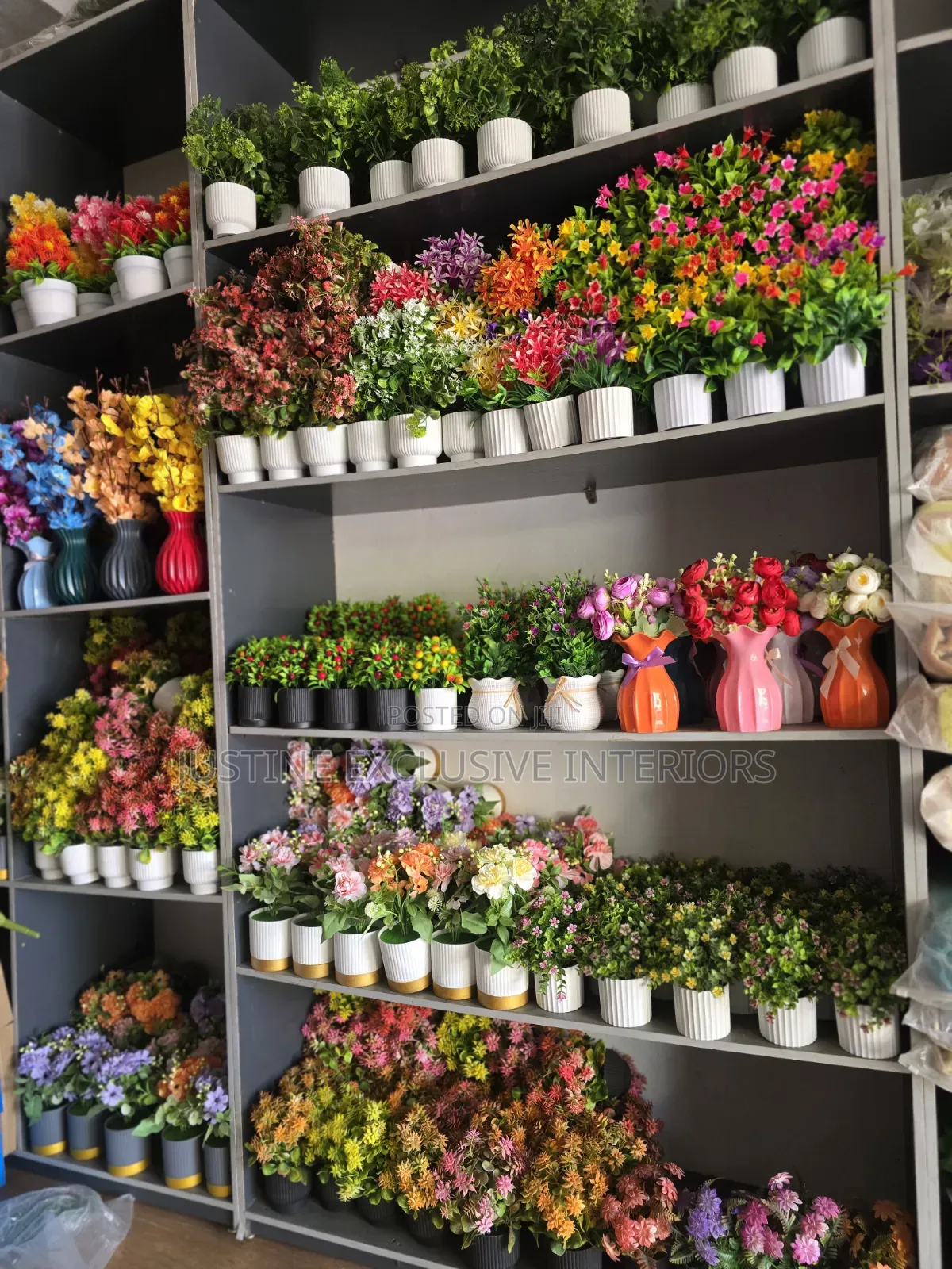 Cup Flowers