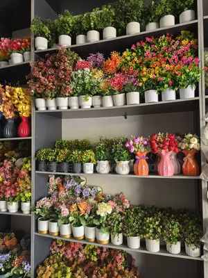 Cup Flowers