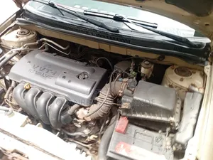 Toyota Corolla 2003 Gold