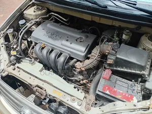 Toyota Corolla 2003 Gold