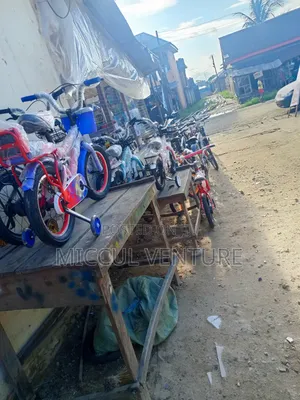 Brand New Kiddies Bicycles