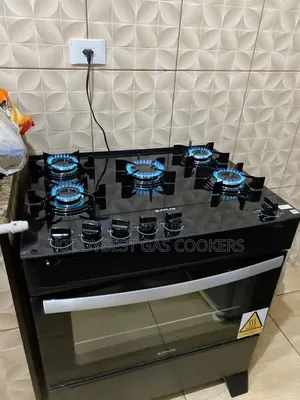 Gas Cooker Maintenance Services 