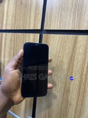 Apple iPhone 12 Pro Max 256 GB Blue