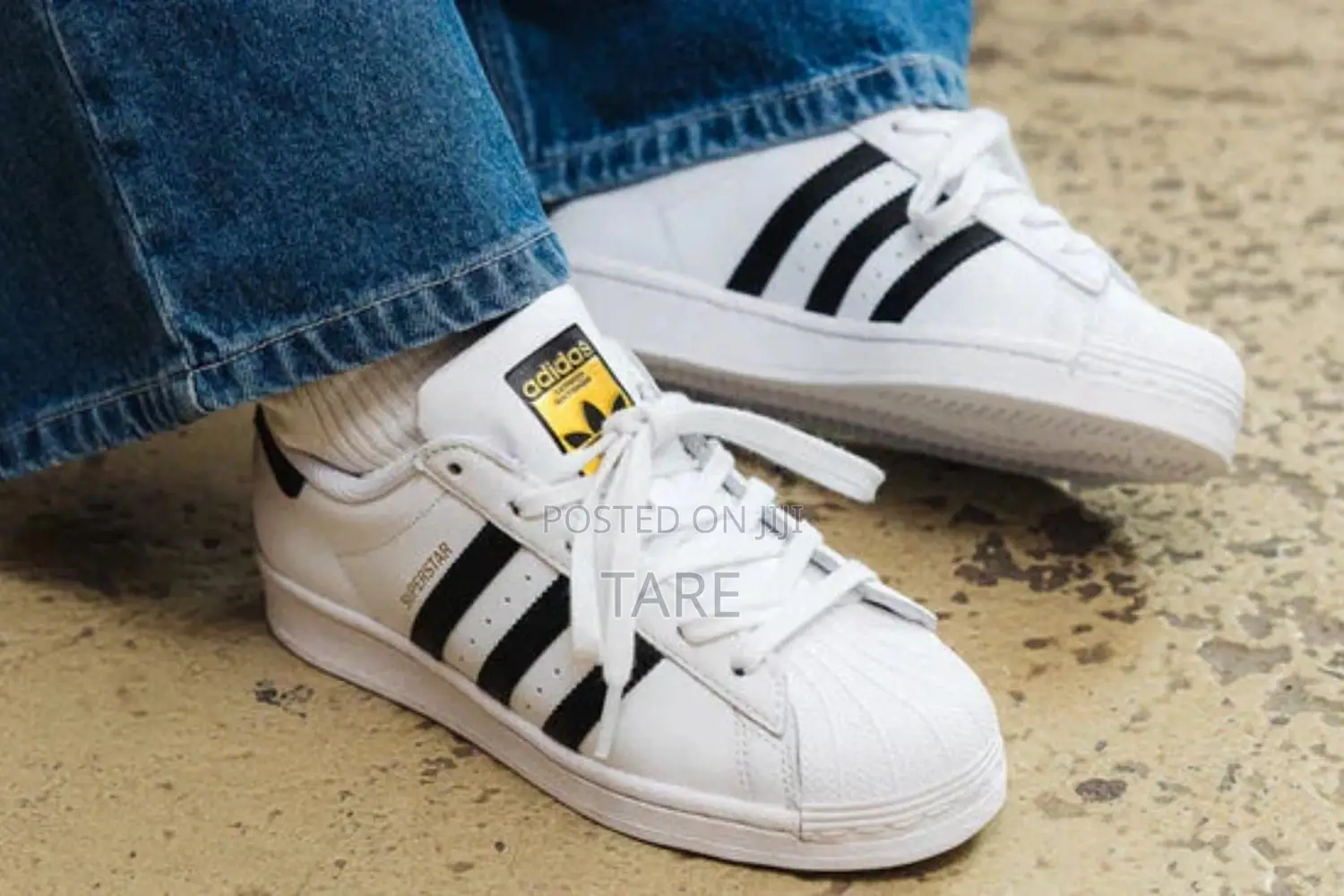 Adidas Superstar Shell Toe