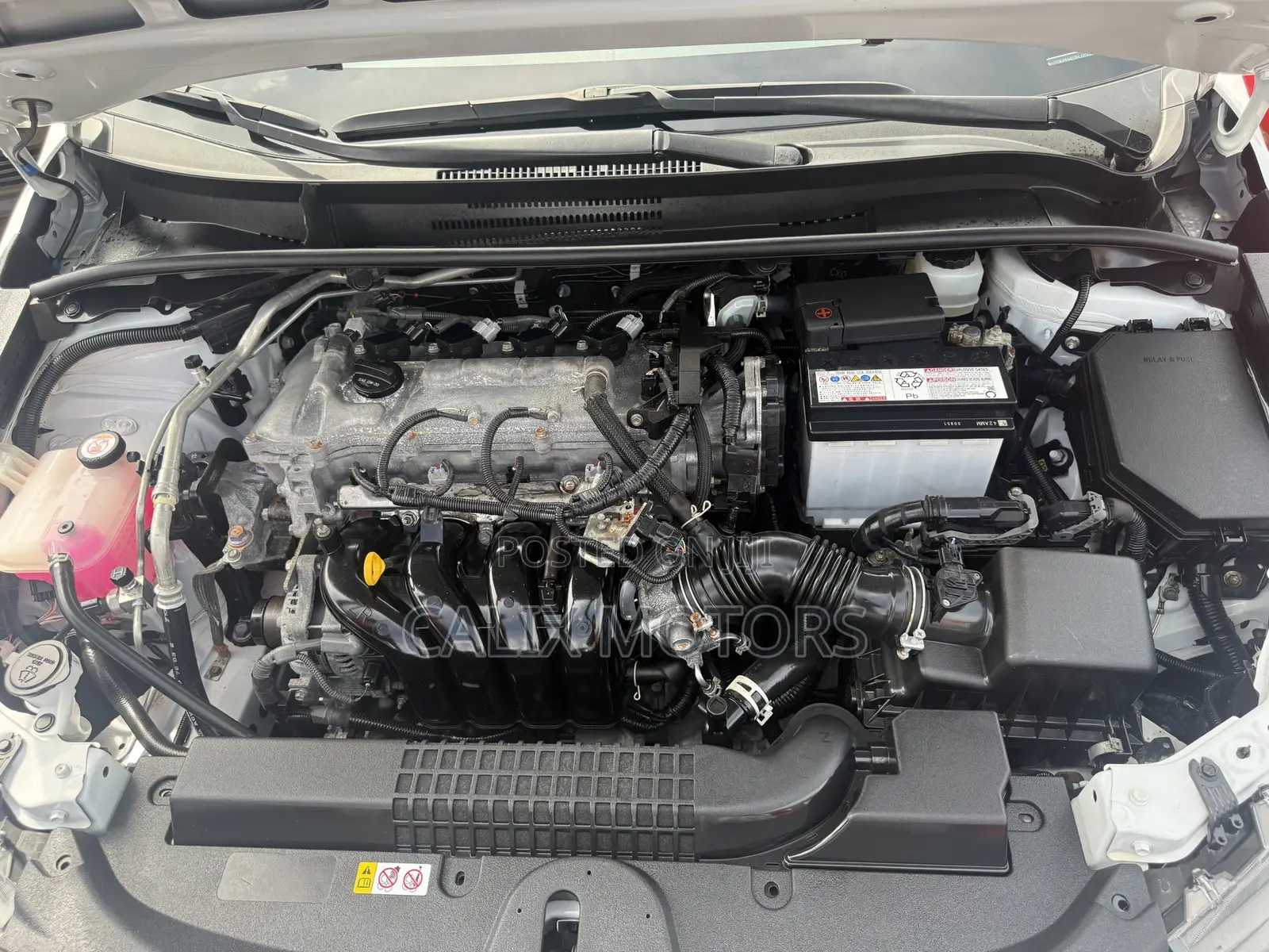 Toyota Corolla 2022 White