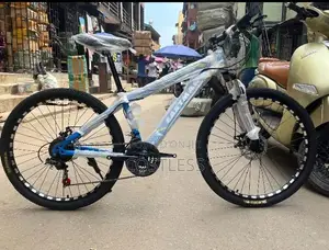 Eastman Durable Bicycle