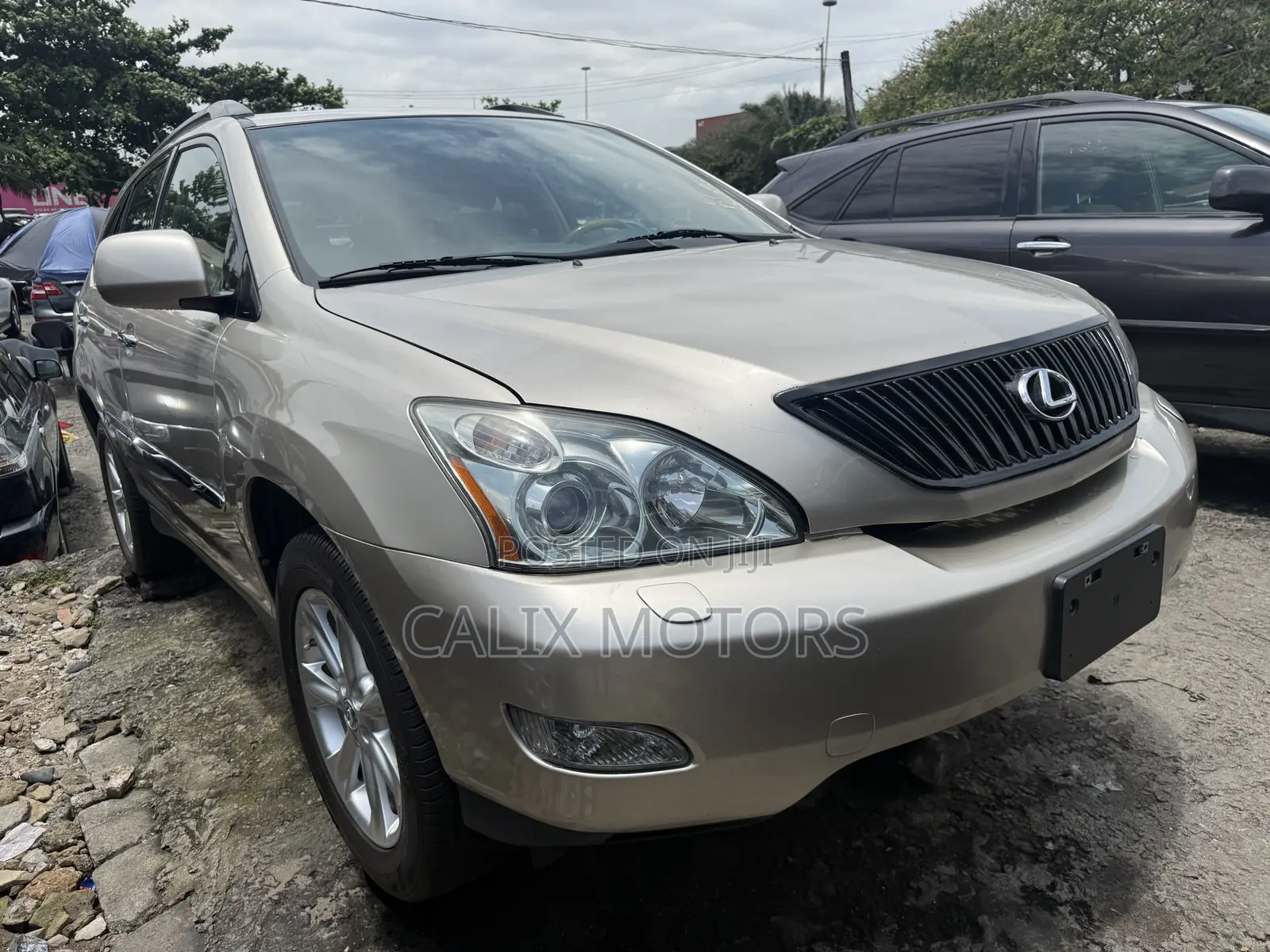 Lexus RX 2009