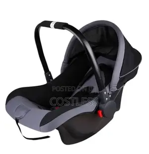 Infant Car Seat and Carrier With an Adjustable Handle