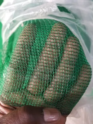 Scaffolding Net