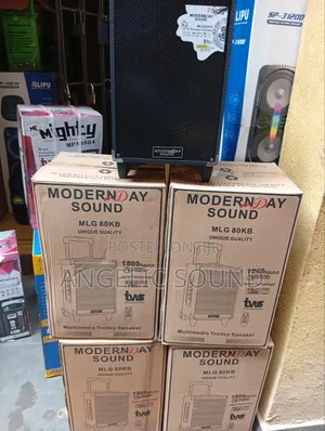 Modern Day 8 Inches Speaker MLG 80KB