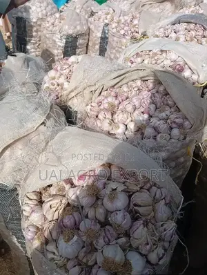Fresh Garlic Wholesale - 40kg Bag - Dawanau Market Kano