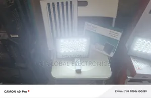 : P&G Mark 100W Solar LED Floodlight With Solar Panel – Waterproof