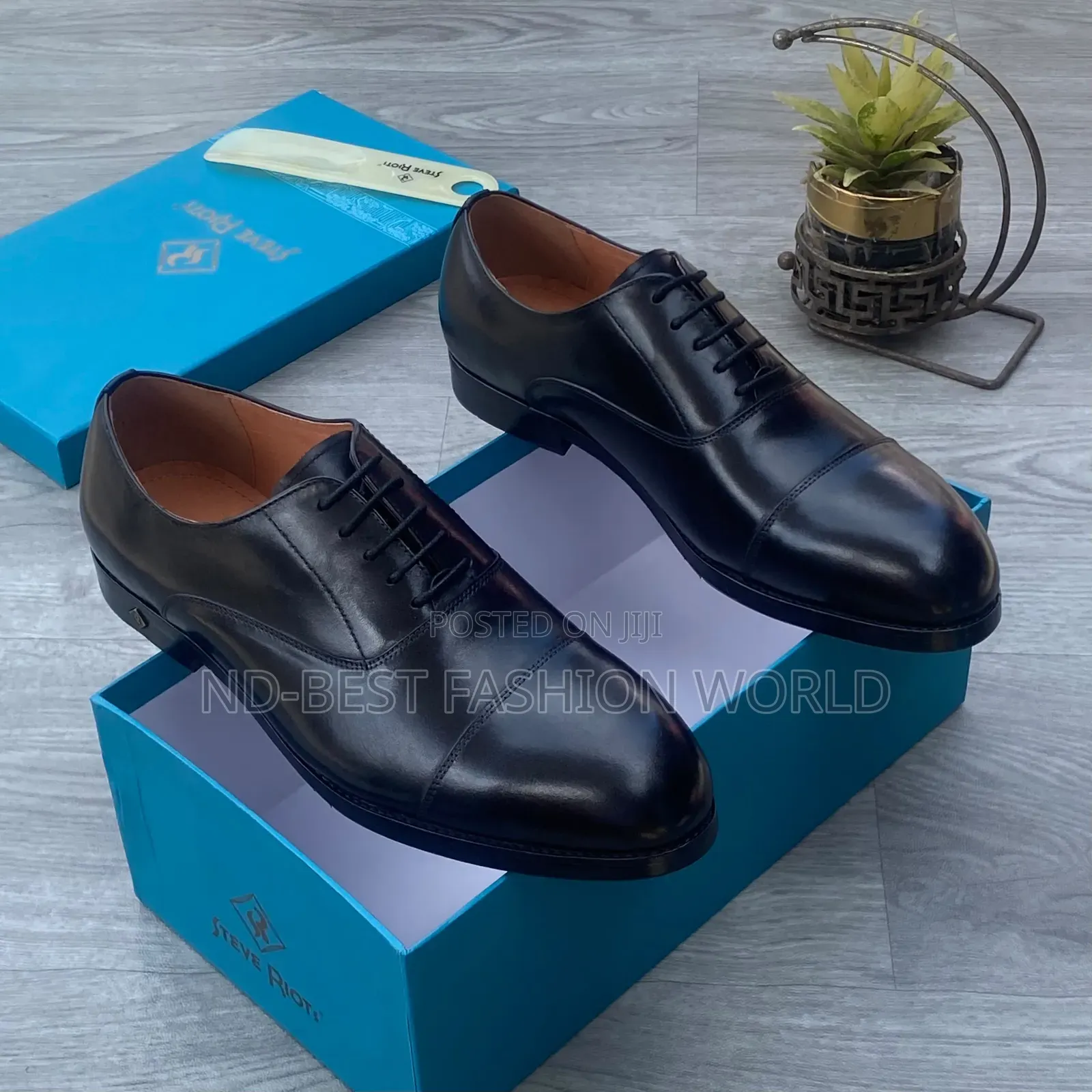 Steve Riot Office Wears