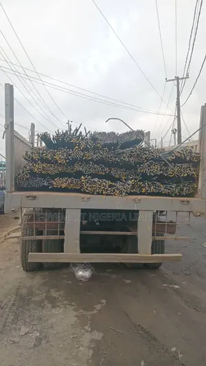 Iron Rods TMT Tested and Standard