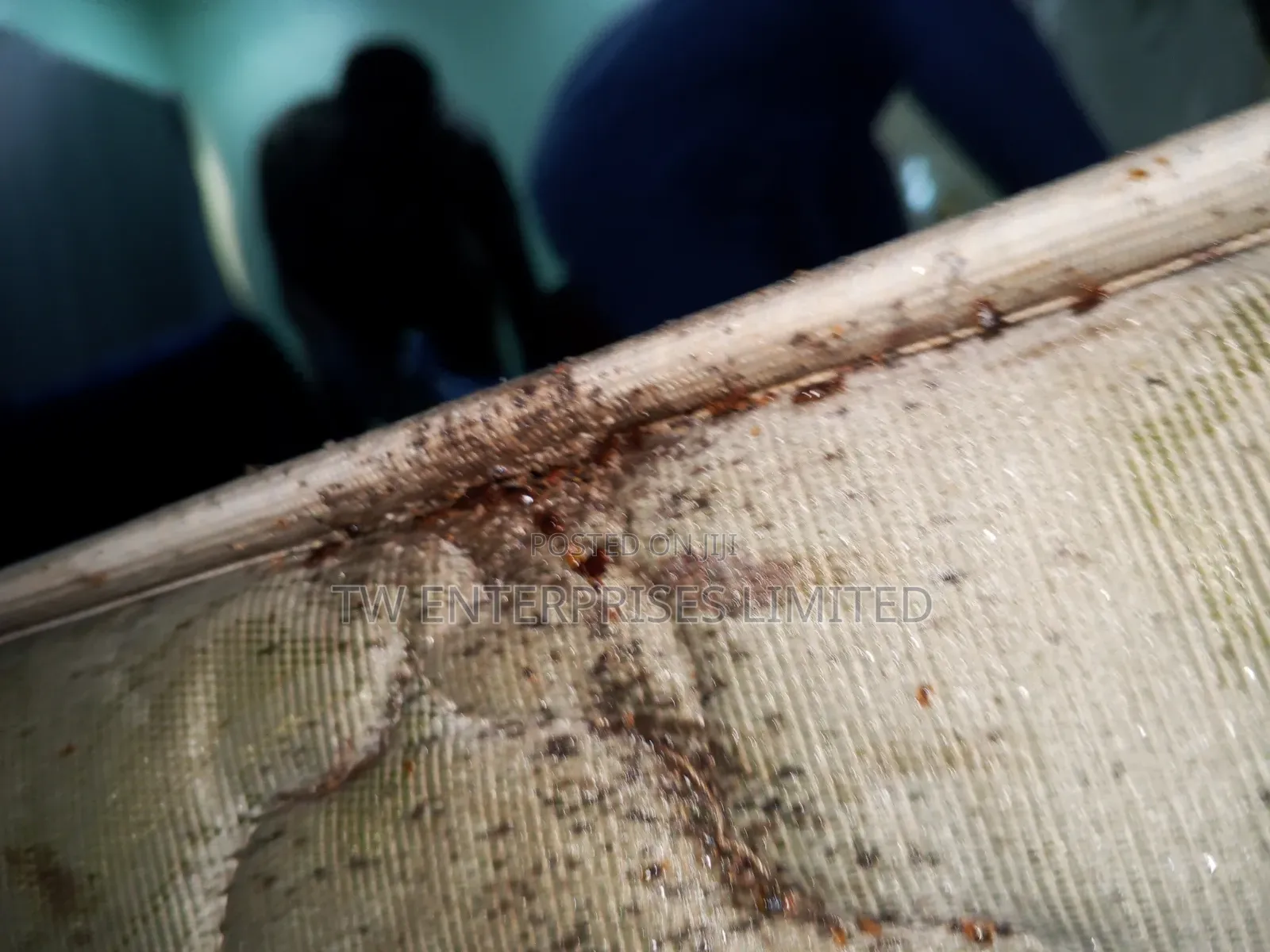Professional Bed Bug Treatment & Fumigation | Lagos