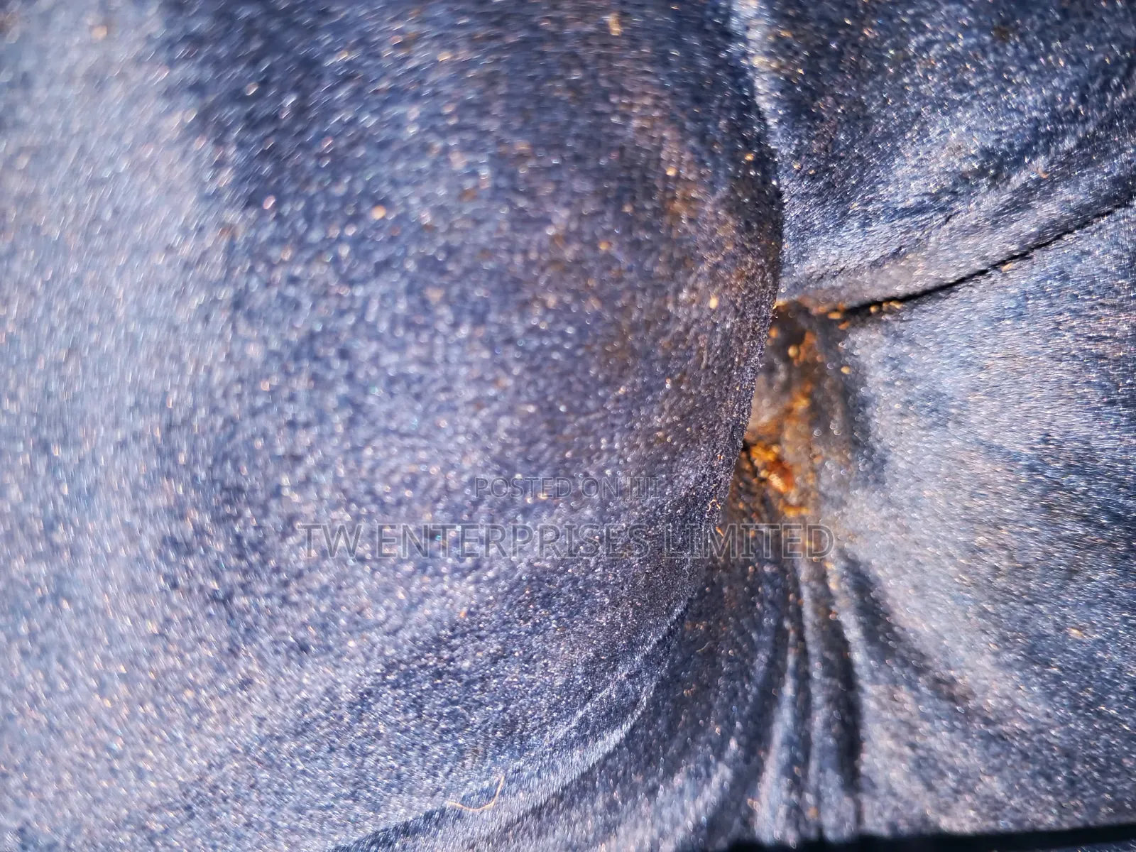Professional Bed Bug Treatment & Fumigation | Lagos