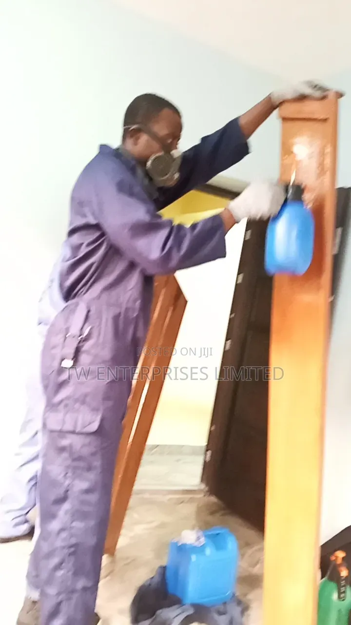 Professional Bed Bug Treatment & Fumigation | Lagos
