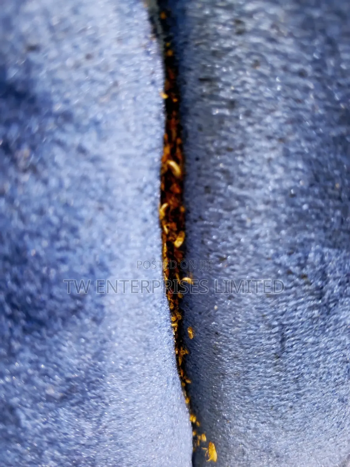 Professional Bed Bug Treatment & Fumigation | Lagos