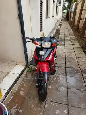 Daylong DL110-2 2021 Red