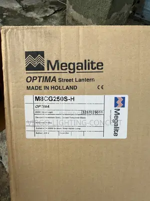 250w Street Light - Sodium/ Metal Halide Lamp