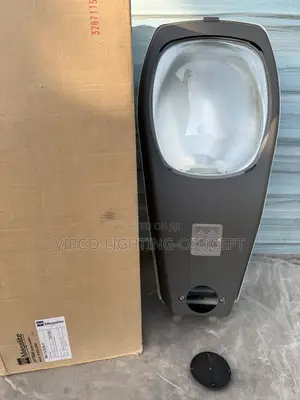 250w Street Light - Sodium/ Metal Halide Lamp