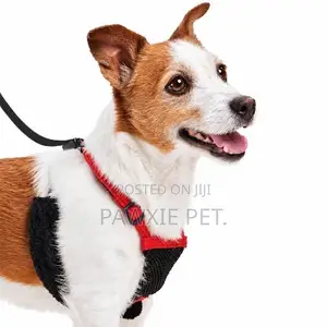 Eb Egr Airness Mesh Harness and Lead Set Large