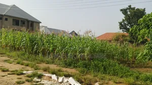 Best Land for Estate for Sale 1000sqm.