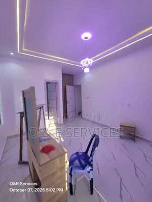 Professional Painter