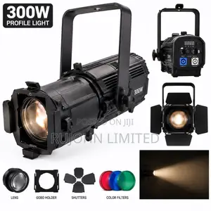 Profile Light 300w