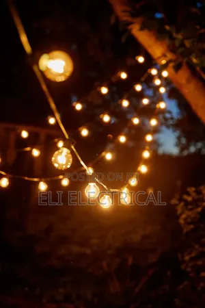Garden Lights