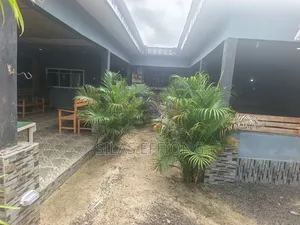 Standard Bar for Sale