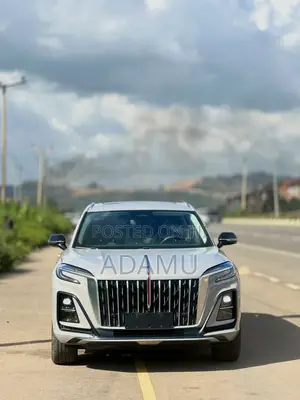 New Hongqi E-HS3 2023 Gray