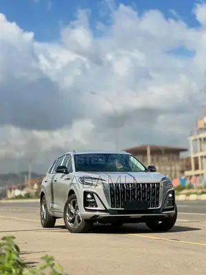 New Hongqi E-HS3 2023 Gray