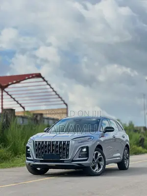 New Hongqi E-HS3 2023 Gray
