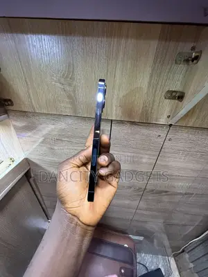 Apple iPhone 12 Pro Max 256 GB Blue