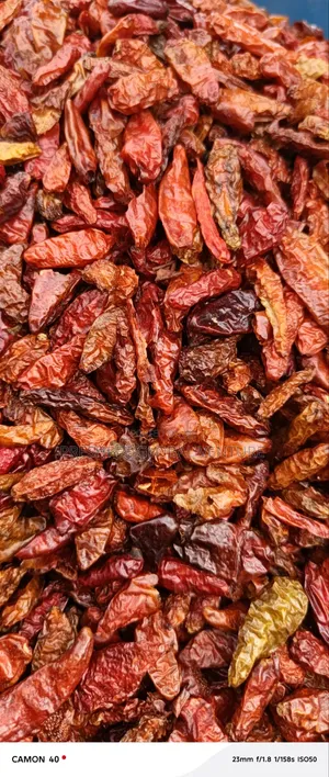 Bini Hot Pepper