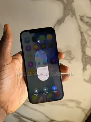 Apple iPhone 12 Pro Max 256 GB Blue