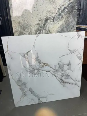 80*80 Goodwill Polish Tiles