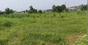 100 by 50 Plot