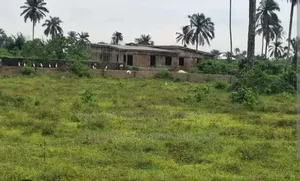 100 by 50 Plot